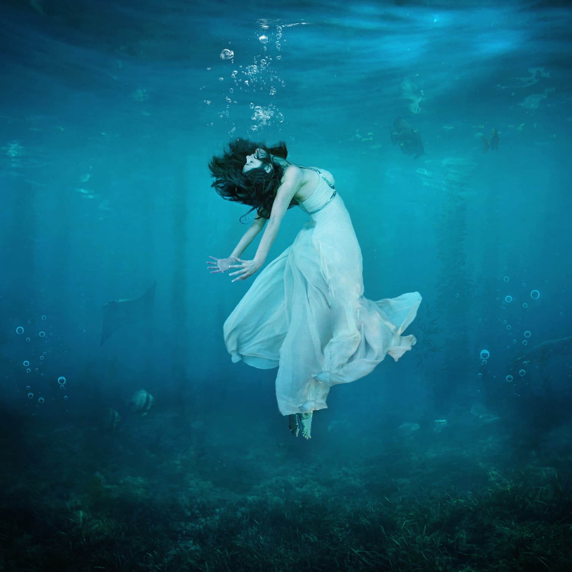 Underwater fine art composite portrait by Dana Klein — composite portrait artist, Park City, Utah