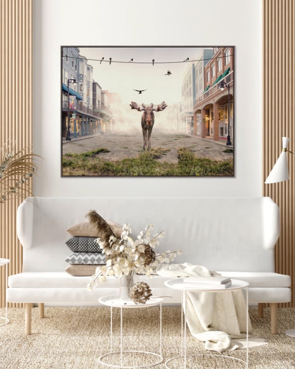 Moose On Main displayed on a wall