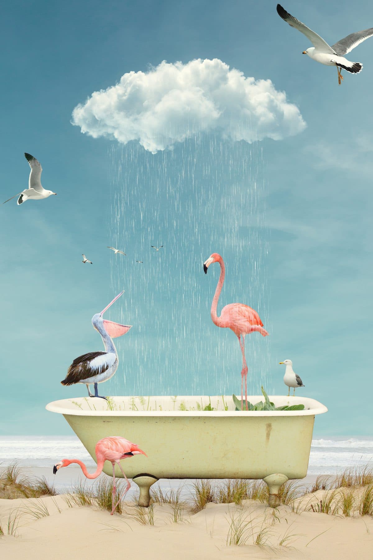 Birdbath — open edition fine art bird print by Dana Klein, available in multiple sizes