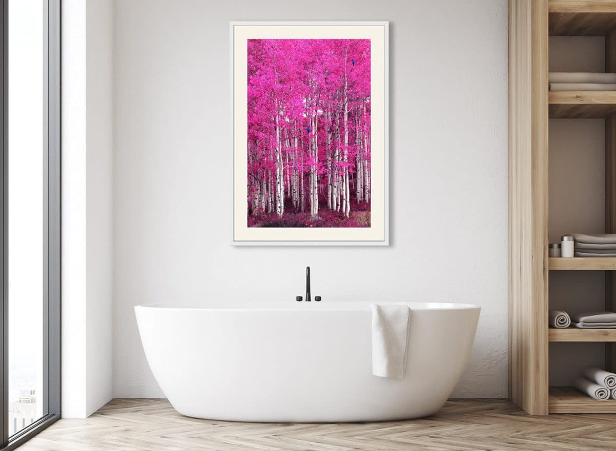 Cotton Candy Forest displayed on a wall