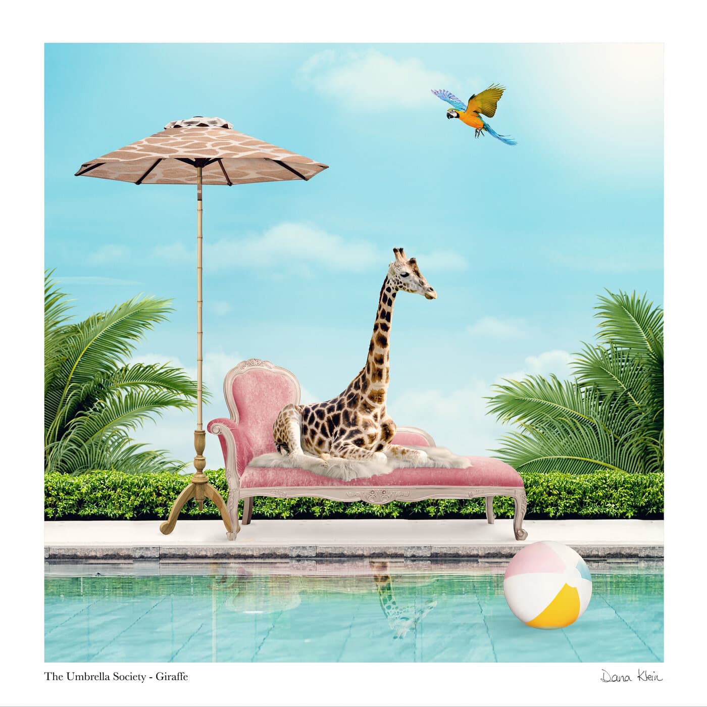 Giraffe — whimsical animal fine art print with giraffe-print umbrella by Dana Klein Creative, Park City Utah
