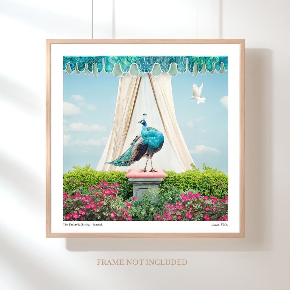 Peacock displayed on a wall