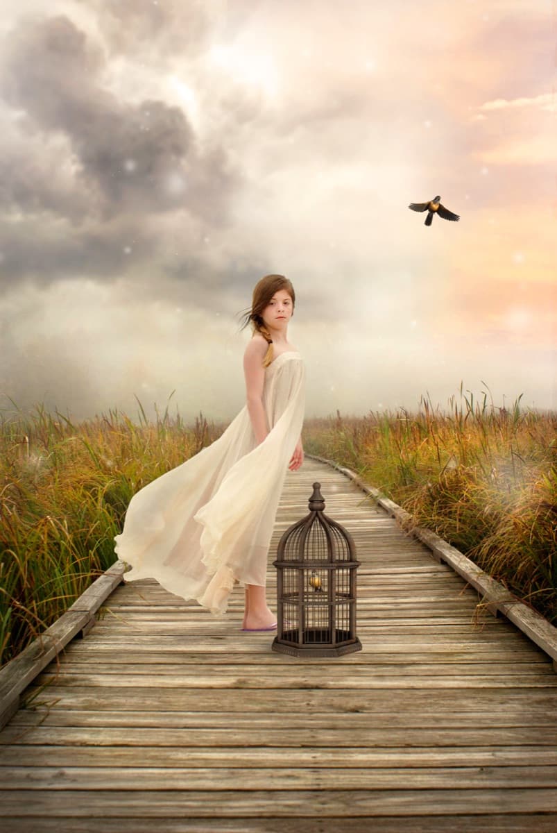 Composite portrait of a girl surrounded by birds in flight by Dana Klein