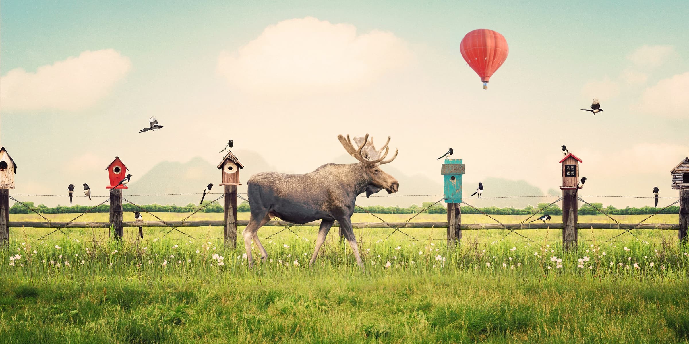 Magpie Lane, limited edition fine art print by Dana Klein