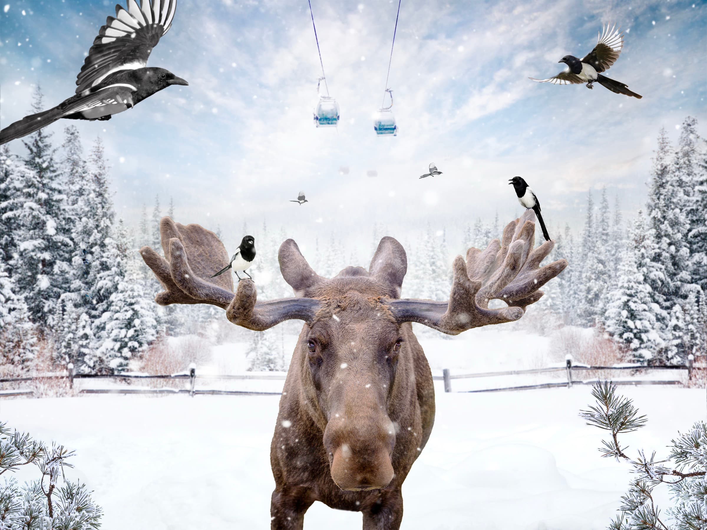 Powder Pals, limited edition fine art print by Dana Klein