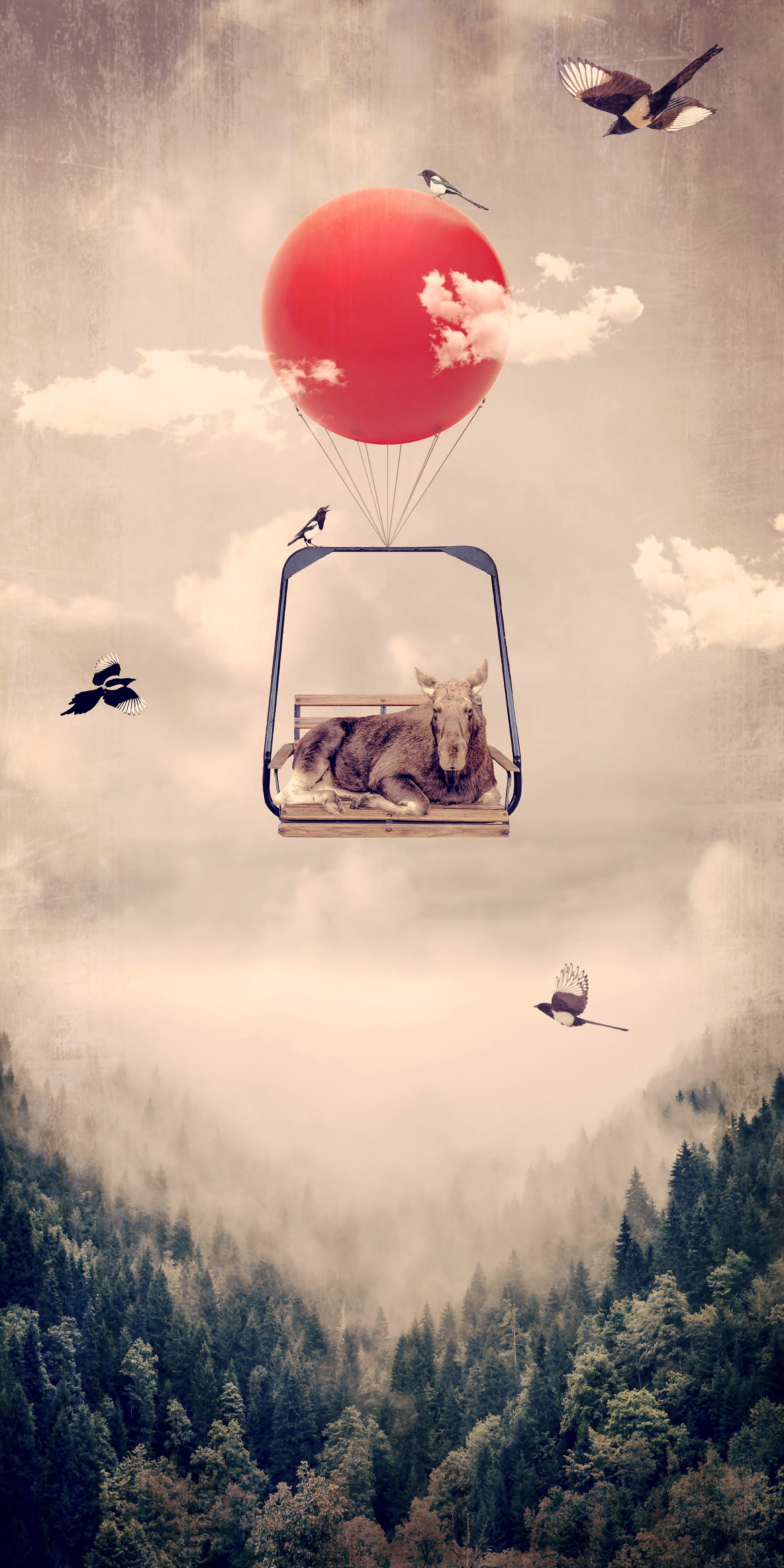 Going Up, limited edition fine art print by Dana Klein