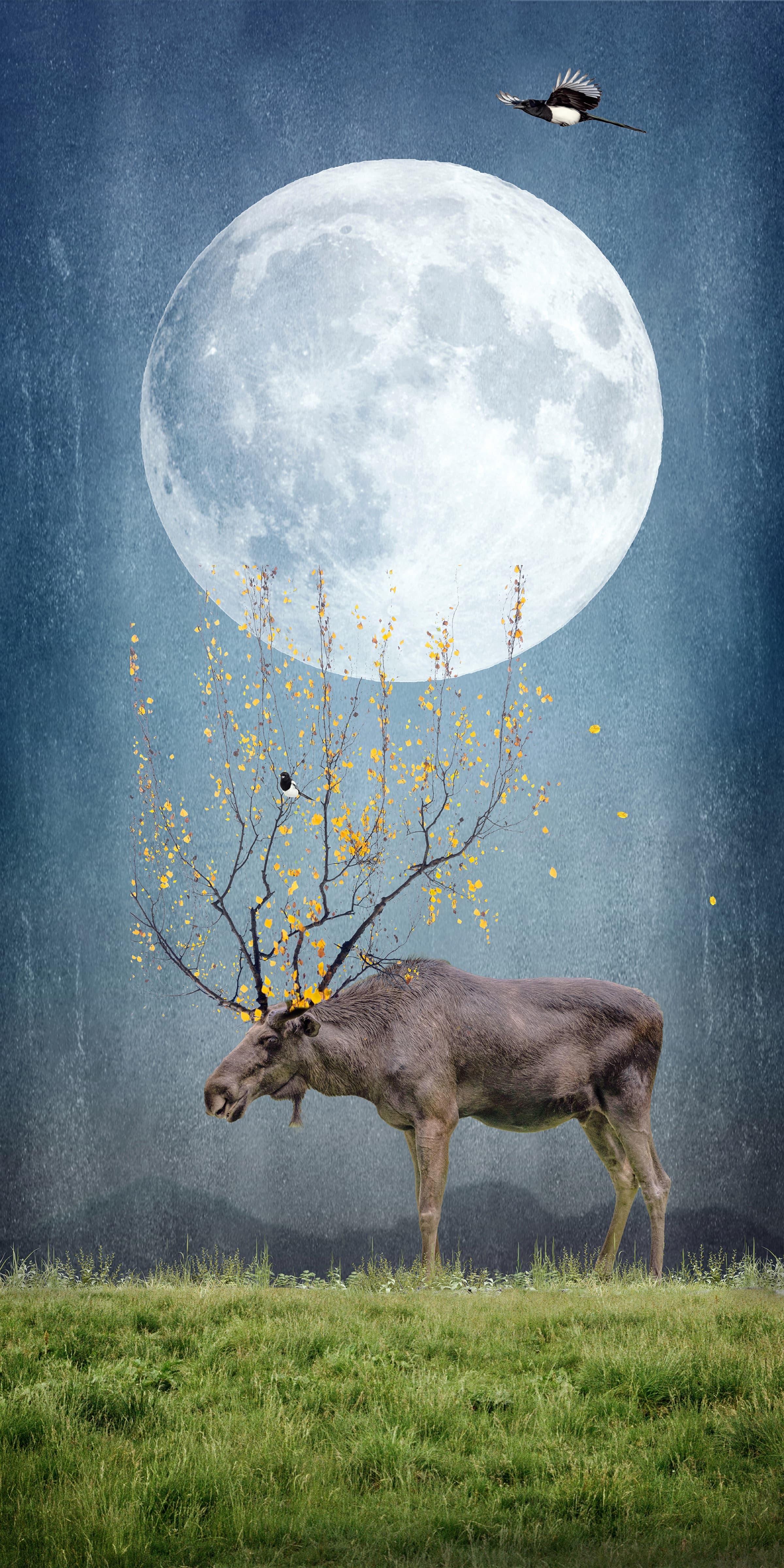 Aspen Moon, limited edition fine art print by Dana Klein