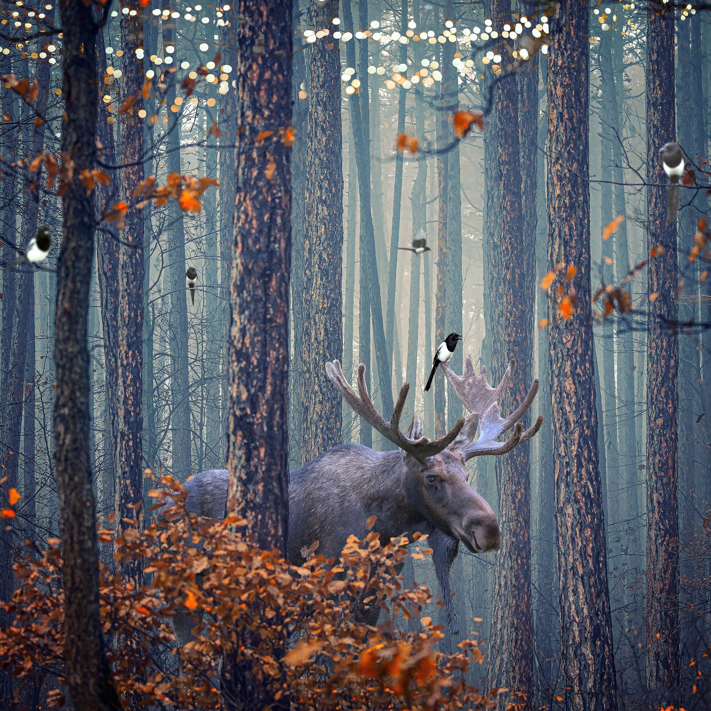 Nightlife, limited edition fine art print by Dana Klein