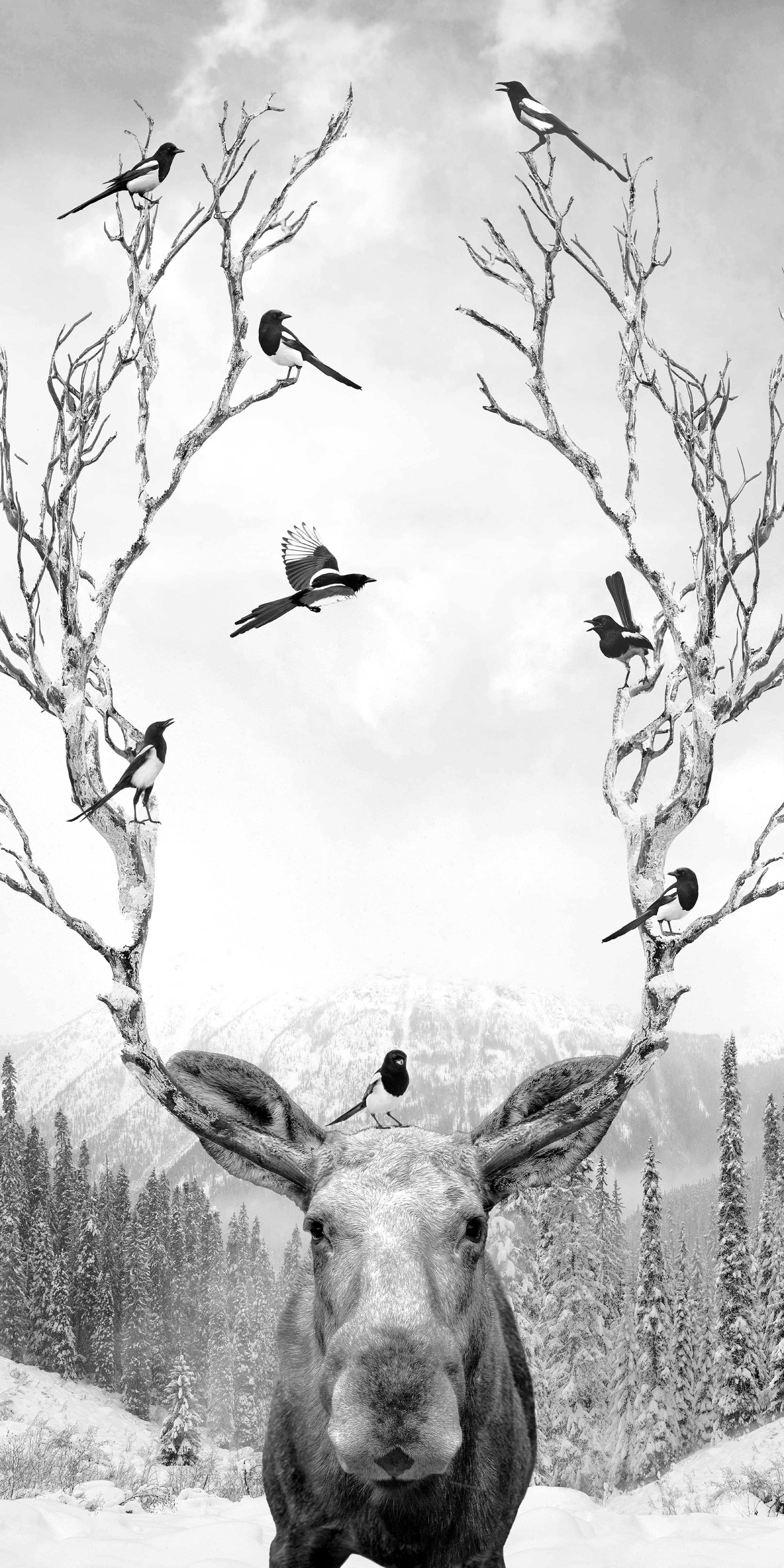 Wild Winter, limited edition fine art print by Dana Klein