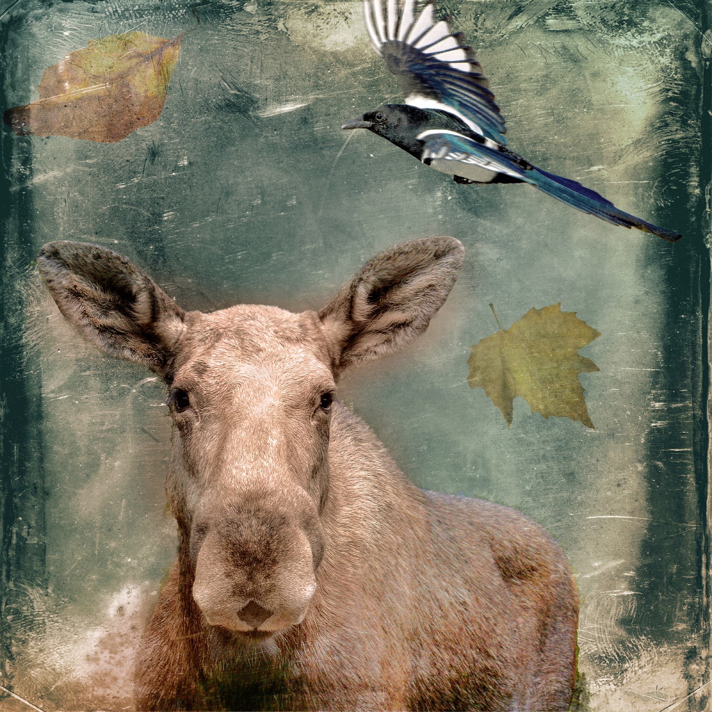 Sanctuary, limited edition fine art print by Dana Klein