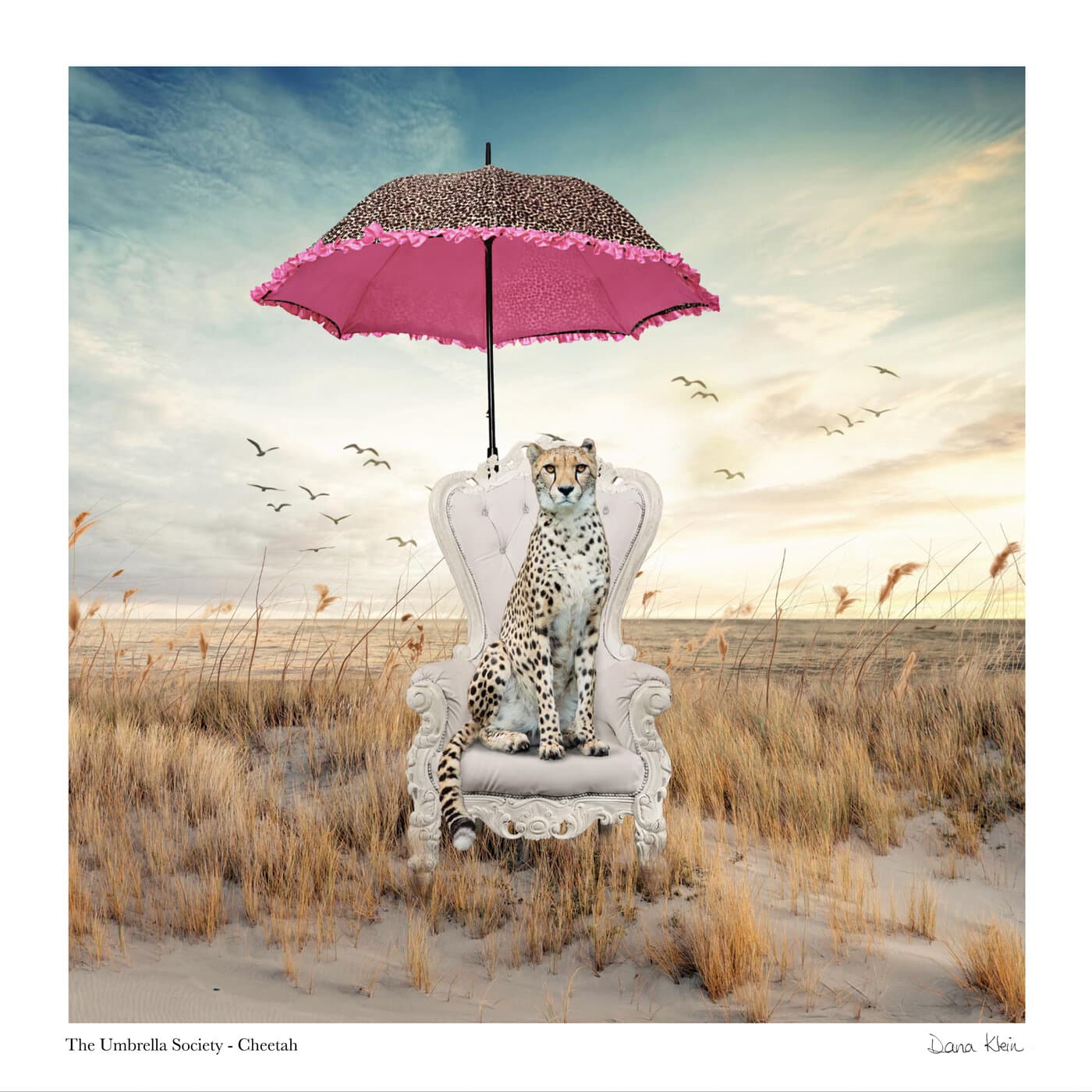 Cheetah — whimsical animal fine art print with cheetah-print umbrella by Dana Klein Creative, Park City Utah