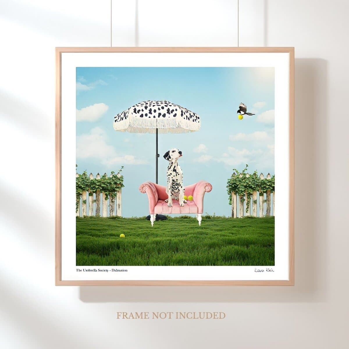 Dalmatian displayed on a wall