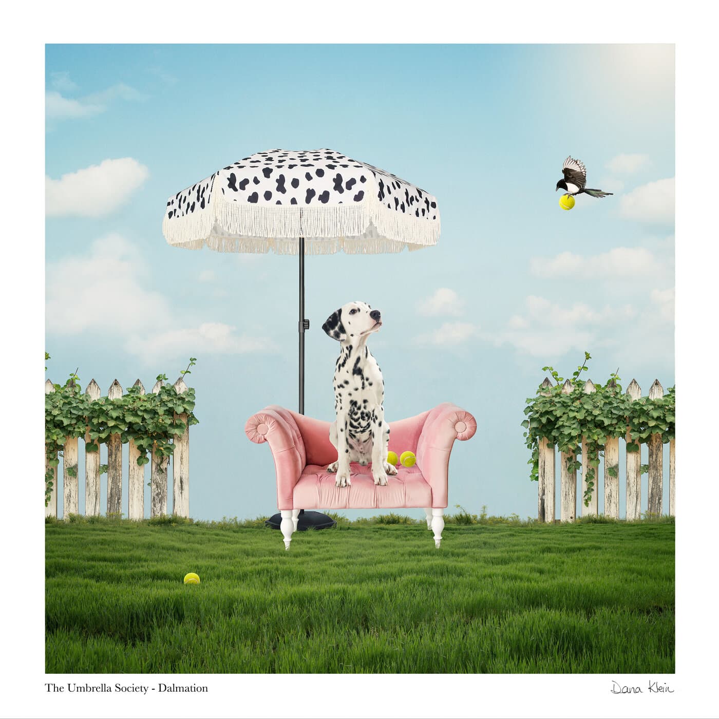 Dalmatian — whimsical animal fine art print with spotted umbrella by Dana Klein Creative, Park City Utah