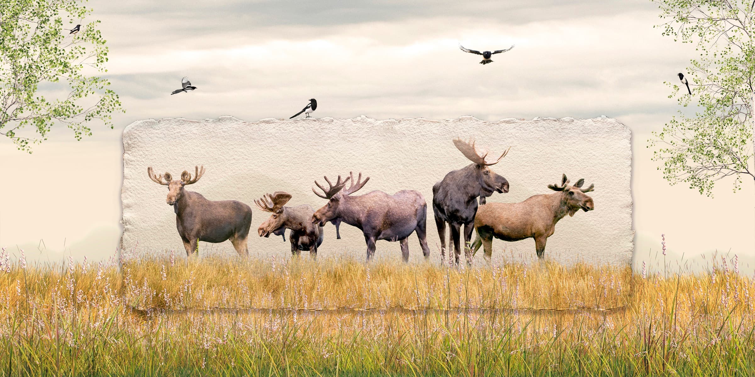 Summit Soiree, limited edition fine art print by Dana Klein