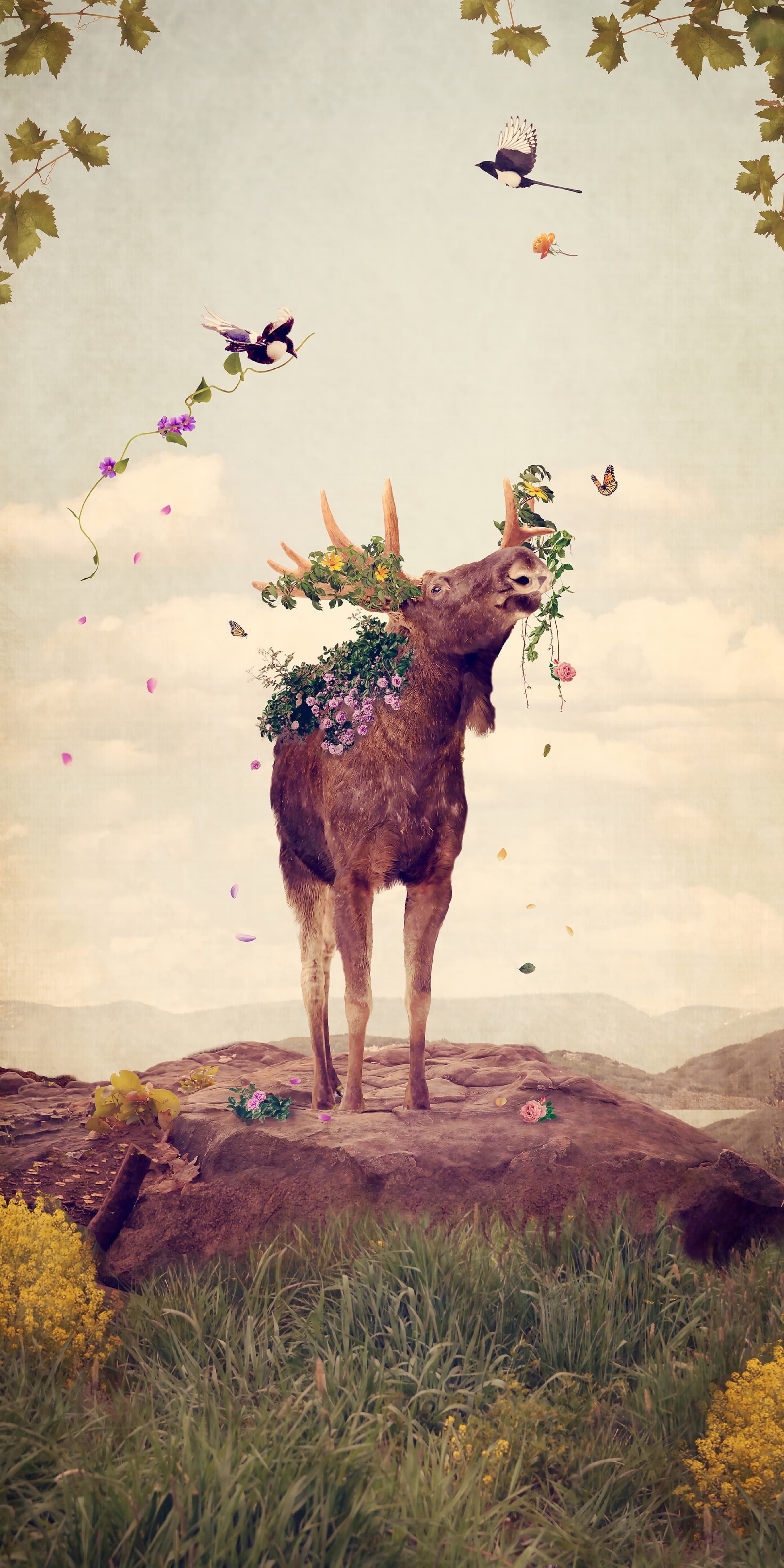 Flower Shower, limited edition fine art print by Dana Klein